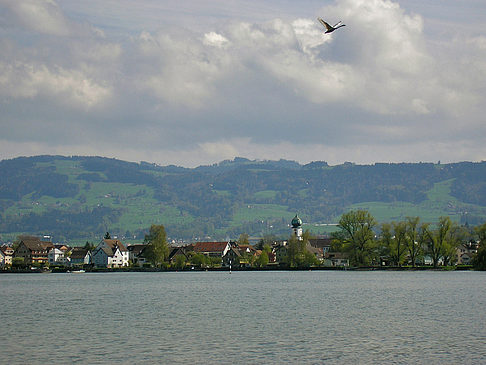 Fotos Schweizer Bodensee